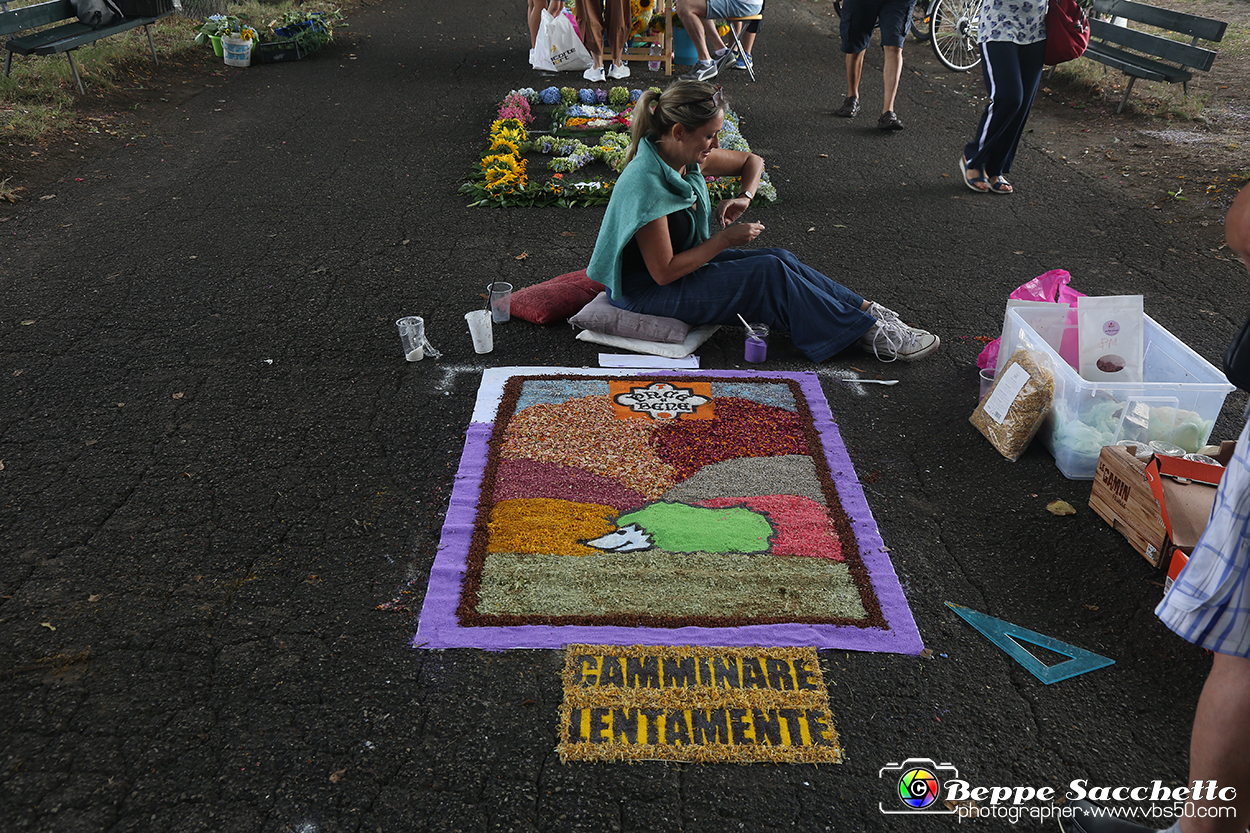 VBS_9703 - Infiorata di Villanova d'Asti 2023.jpg
